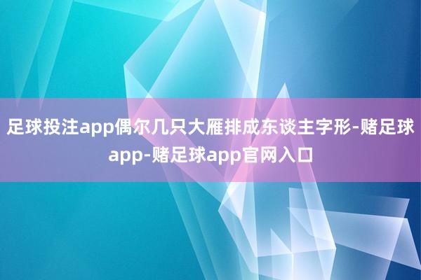 足球投注app偶尔几只大雁排成东谈主字形-赌足球app-赌足球app官网入口