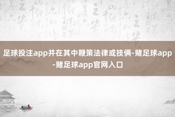 足球投注app并在其中鞭策法律或技俩-赌足球app-赌足球app官网入口