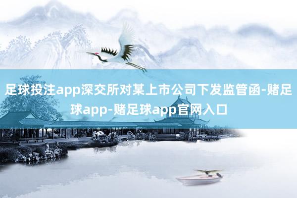 足球投注app深交所对某上市公司下发监管函-赌足球app-赌足球app官网入口