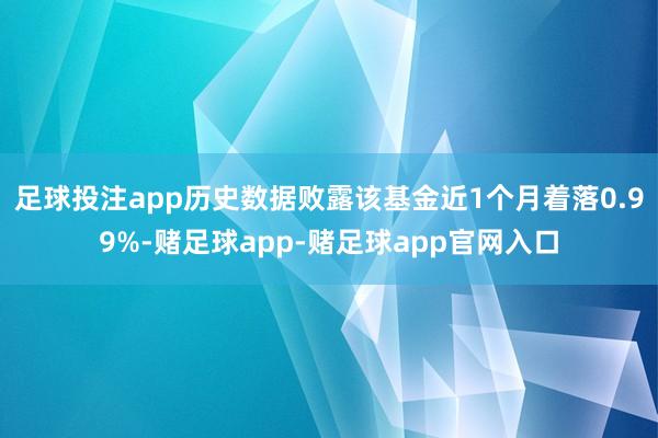 足球投注app历史数据败露该基金近1个月着落0.99%-赌足球app-赌足球app官网入口