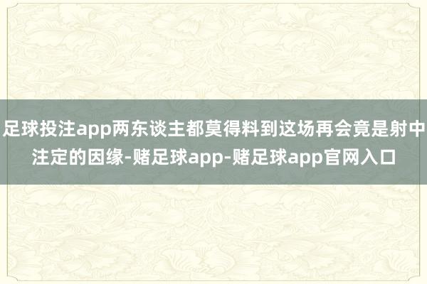 足球投注app两东谈主都莫得料到这场再会竟是射中注定的因缘-赌足球app-赌足球app官网入口