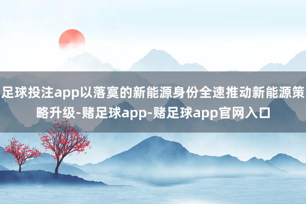 足球投注app以落寞的新能源身份全速推动新能源策略升级-赌足球app-赌足球app官网入口