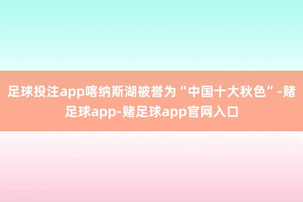 足球投注app喀纳斯湖被誉为“中国十大秋色”-赌足球app-赌足球app官网入口