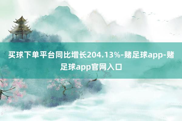 买球下单平台同比增长204.13%-赌足球app-赌足球app官网入口