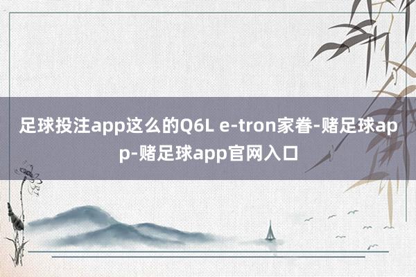 足球投注app这么的Q6L e-tron家眷-赌足球app-赌足球app官网入口