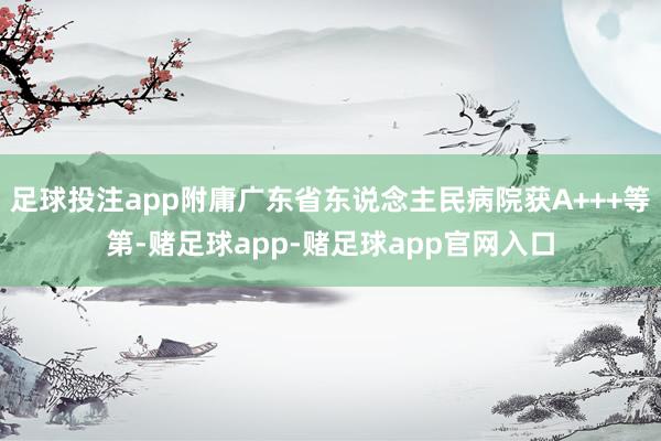 足球投注app附庸广东省东说念主民病院获A+++等第-赌足球app-赌足球app官网入口