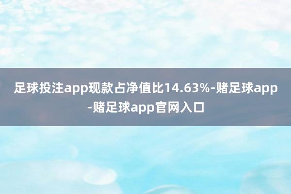 足球投注app现款占净值比14.63%-赌足球app-赌足球app官网入口