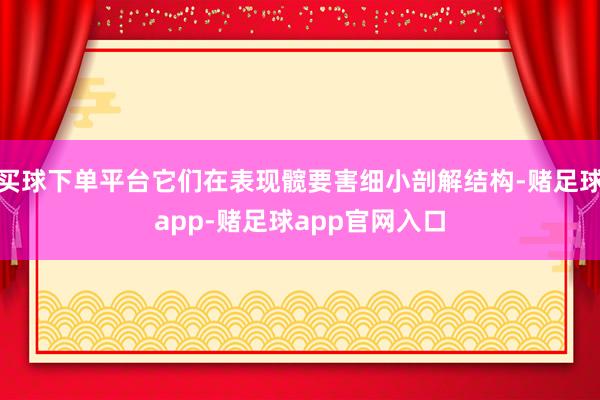 买球下单平台它们在表现髋要害细小剖解结构-赌足球app-赌足球app官网入口