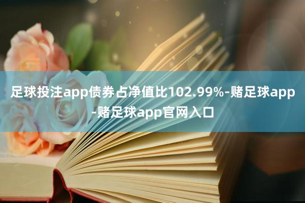 足球投注app债券占净值比102.99%-赌足球app-赌足球app官网入口