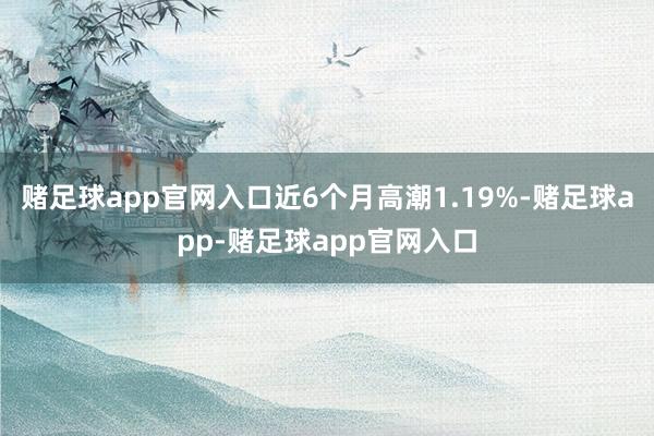 赌足球app官网入口近6个月高潮1.19%-赌足球app-赌足球app官网入口