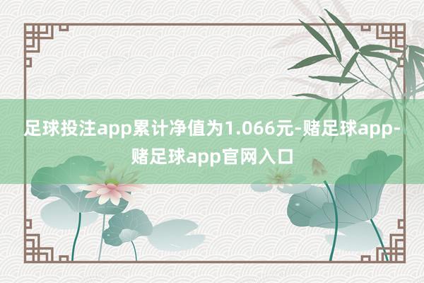 足球投注app累计净值为1.066元-赌足球app-赌足球app官网入口