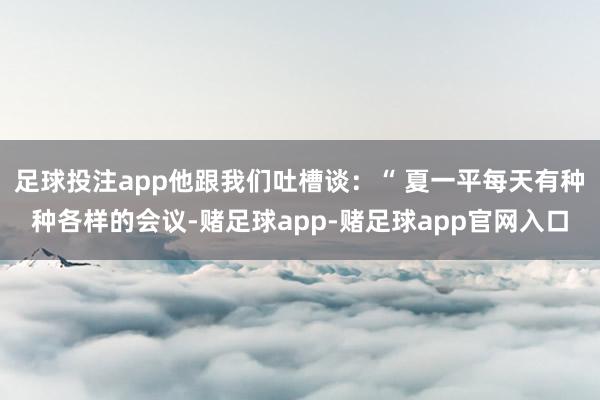 足球投注app他跟我们吐槽谈：“ 夏一平每天有种种各样的会议-赌足球app-赌足球app官网入口