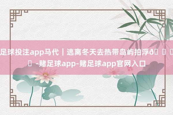 足球投注app马代｜逃离冬天去热带岛屿拍浮🏝️-赌足球app-赌足球app官网入口