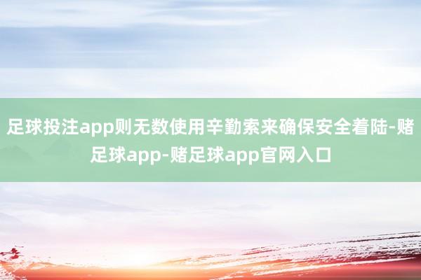 足球投注app则无数使用辛勤索来确保安全着陆-赌足球app-赌足球app官网入口