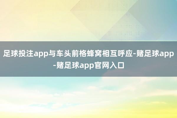 足球投注app与车头前格蜂窝相互呼应-赌足球app-赌足球app官网入口