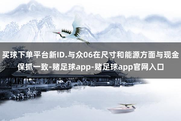 买球下单平台新ID.与众06在尺寸和能源方面与现金保抓一致-赌足球app-赌足球app官网入口