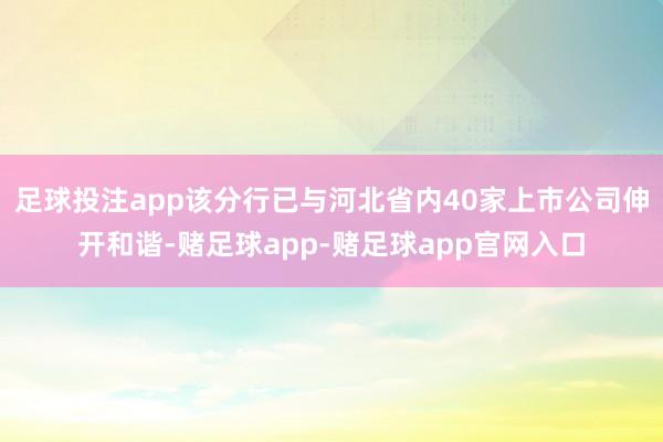 足球投注app该分行已与河北省内40家上市公司伸开和谐-赌足球app-赌足球app官网入口