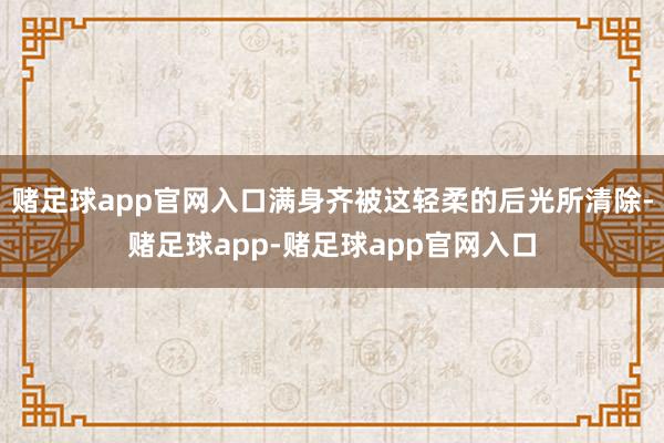 赌足球app官网入口满身齐被这轻柔的后光所清除-赌足球app-赌足球app官网入口