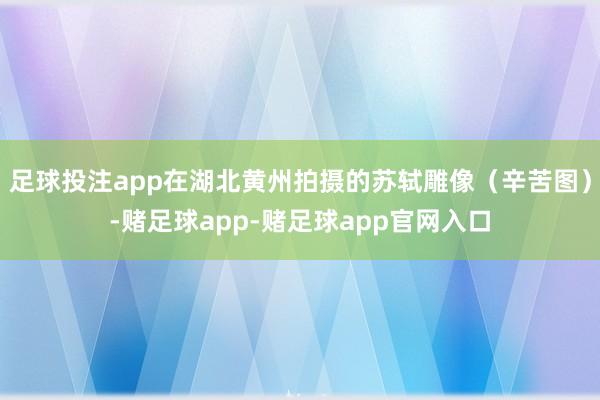 足球投注app在湖北黄州拍摄的苏轼雕像（辛苦图）-赌足球app-赌足球app官网入口