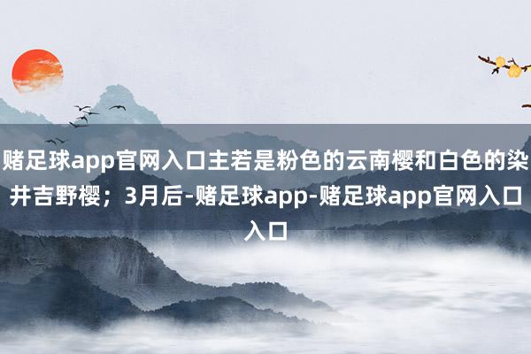 赌足球app官网入口主若是粉色的云南樱和白色的染井吉野樱；3月后-赌足球app-赌足球app官网入口