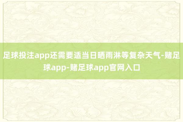 足球投注app还需要适当日晒雨淋等复杂天气-赌足球app-赌足球app官网入口