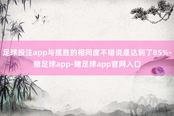 足球投注app与揽胜的相同度不错说是达到了85%-赌足球app-赌足球app官网入口