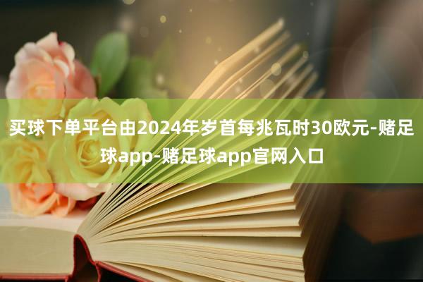 买球下单平台由2024年岁首每兆瓦时30欧元-赌足球app-赌足球app官网入口