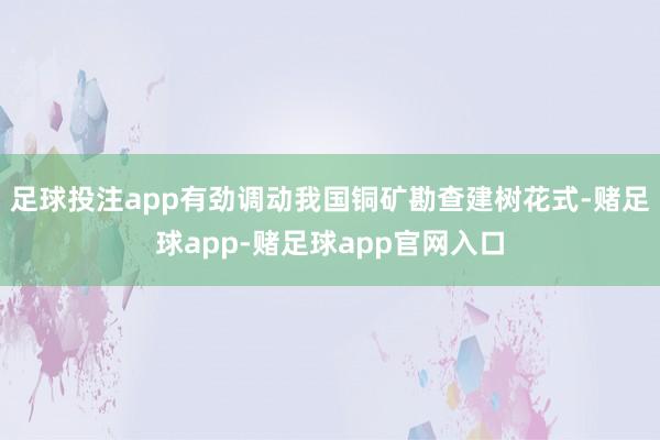 足球投注app有劲调动我国铜矿勘查建树花式-赌足球app-赌足球app官网入口