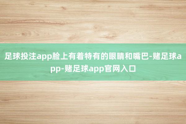 足球投注app脸上有着特有的眼睛和嘴巴-赌足球app-赌足球app官网入口