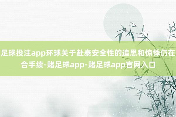 足球投注app环球关于赴泰安全性的追思和惊悸仍在合手续-赌足球app-赌足球app官网入口