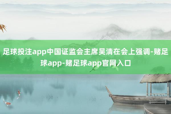 足球投注app中国证监会主席吴清在会上强调-赌足球app-赌足球app官网入口