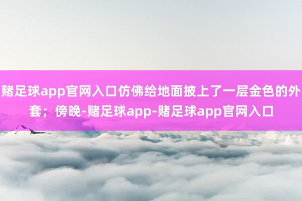 赌足球app官网入口仿佛给地面披上了一层金色的外套；傍晚-赌足球app-赌足球app官网入口